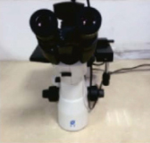 Metallographic microscope